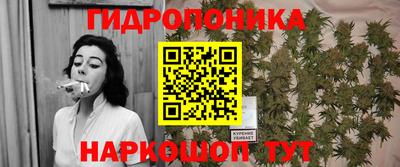 гашишное масло Берёзовский