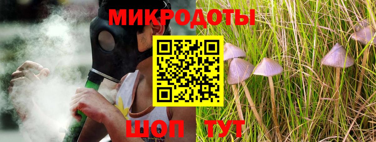 наркота  Вход с VPN  Качканар  Псилоцибиновые грибы Cubensis 